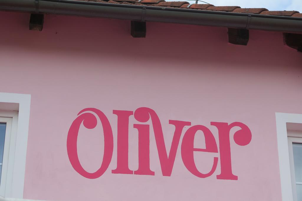 Penzion Oliver Horní Planá Extérieur photo
